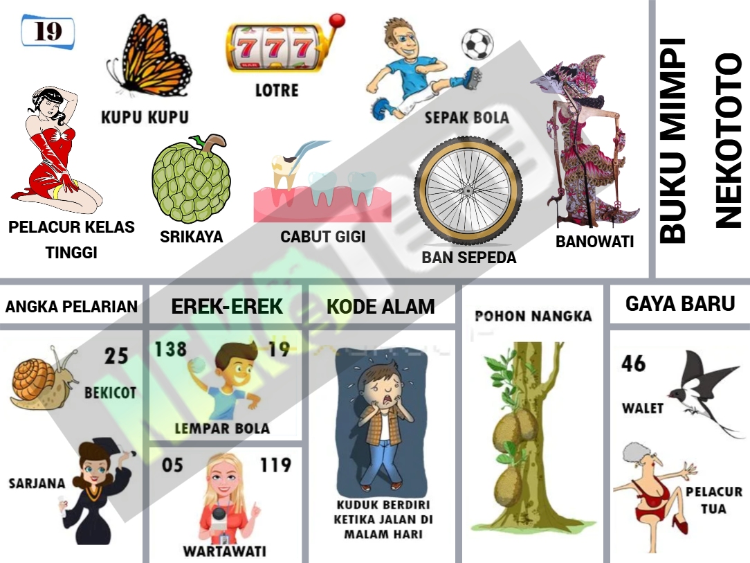 buku mimpi erek erek togel 19