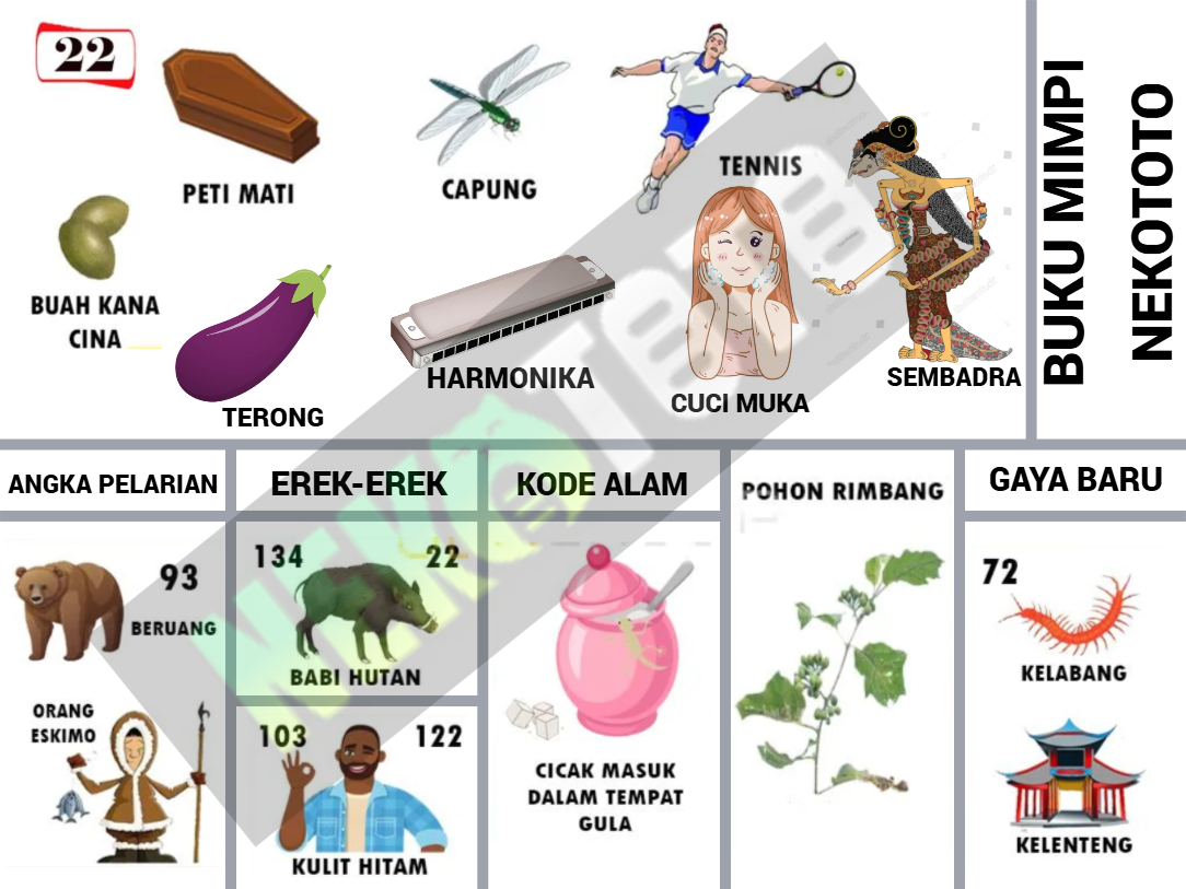 buku mimpi erek erek togel 22