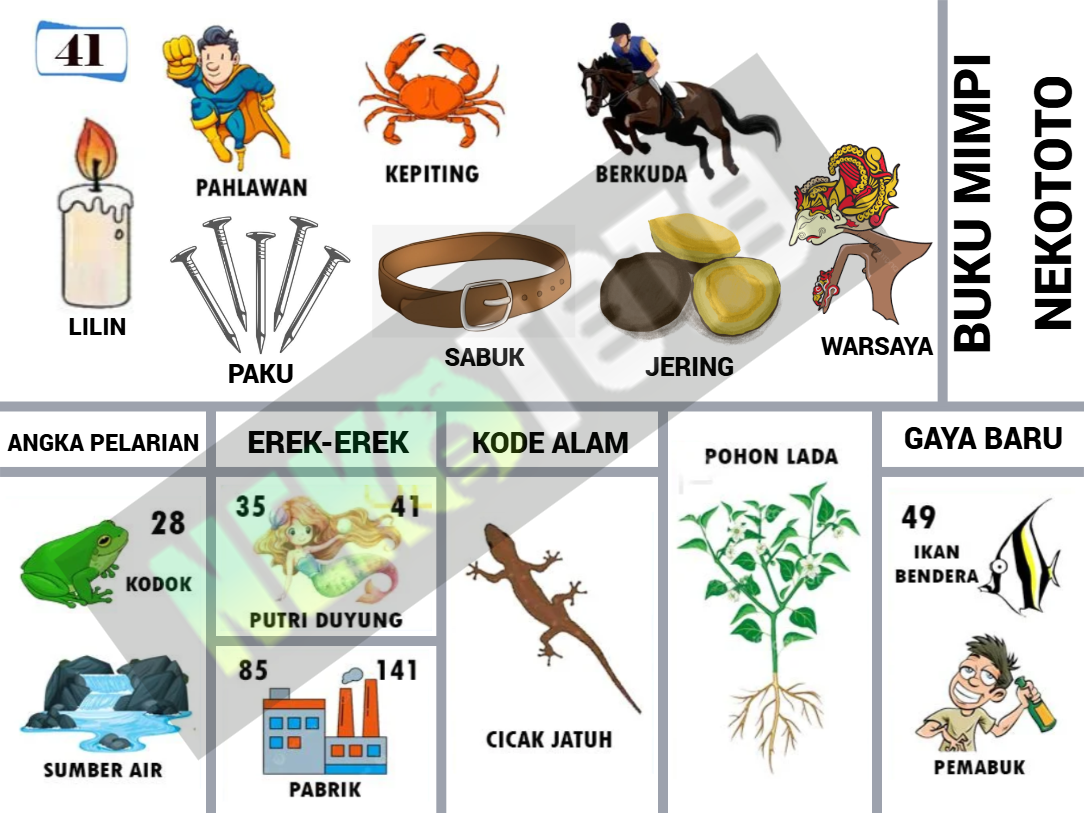 buku mimpi erek erek togel 41