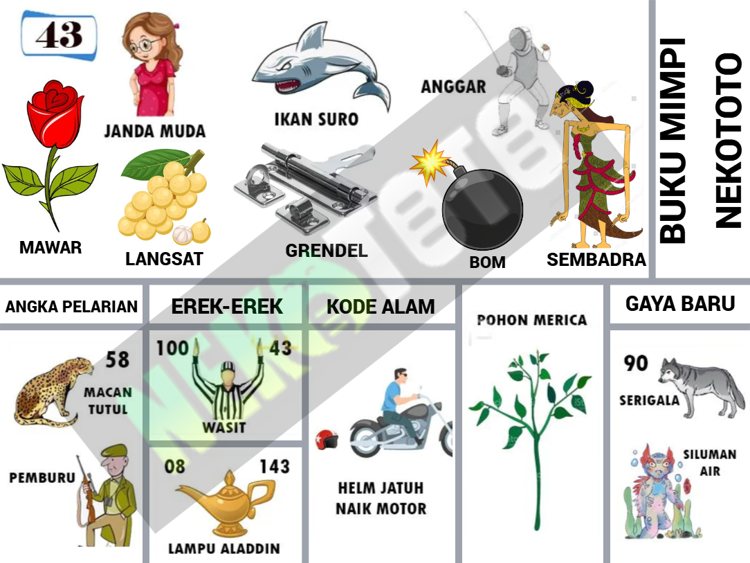 buku mimpi erek erek togel 43