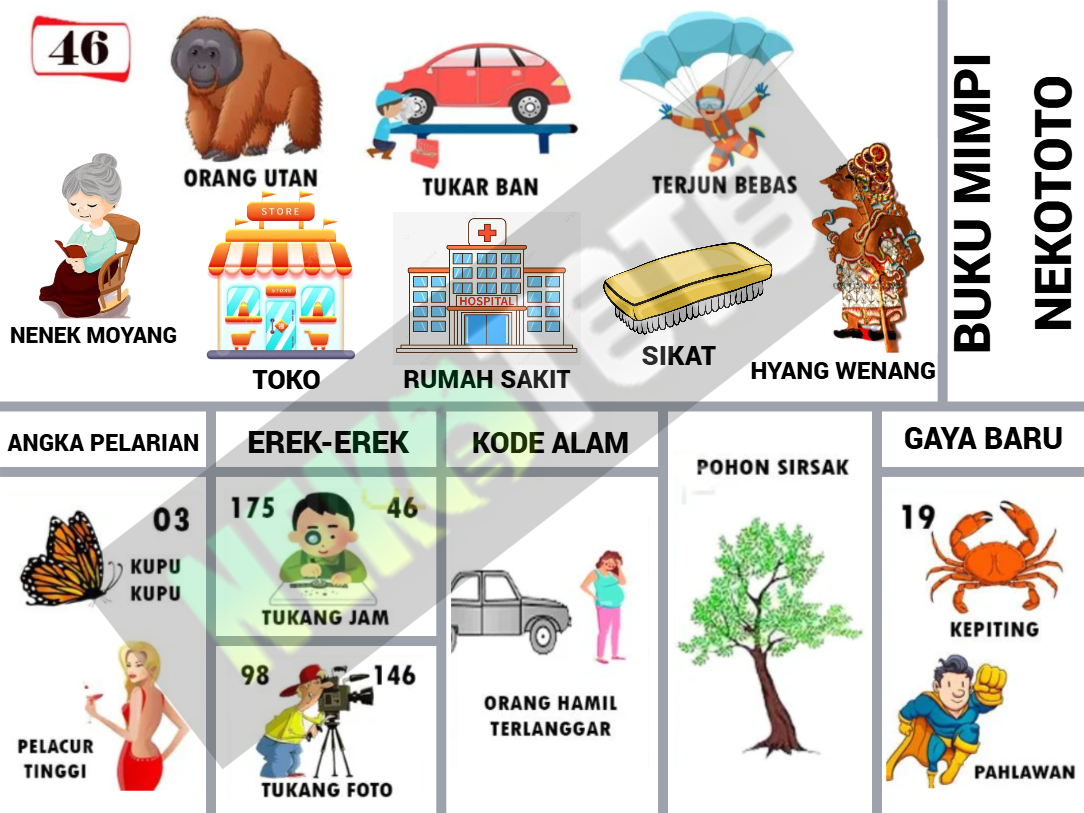buku mimpi erek erek togel 46