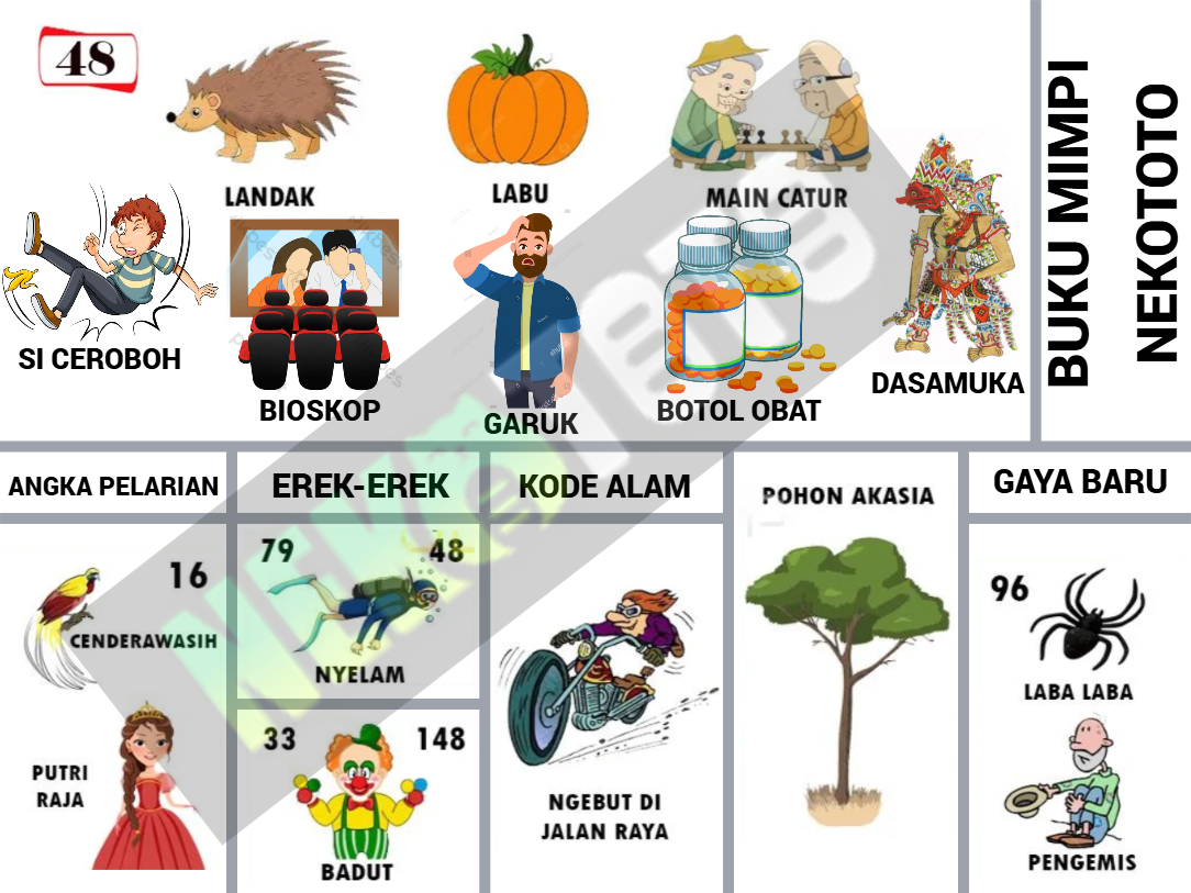 buku mimpi erek erek togel 48