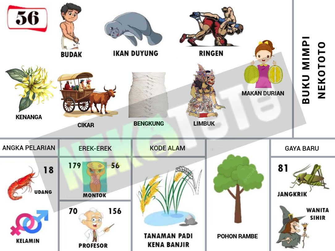 buku mimpi erek erek togel 56