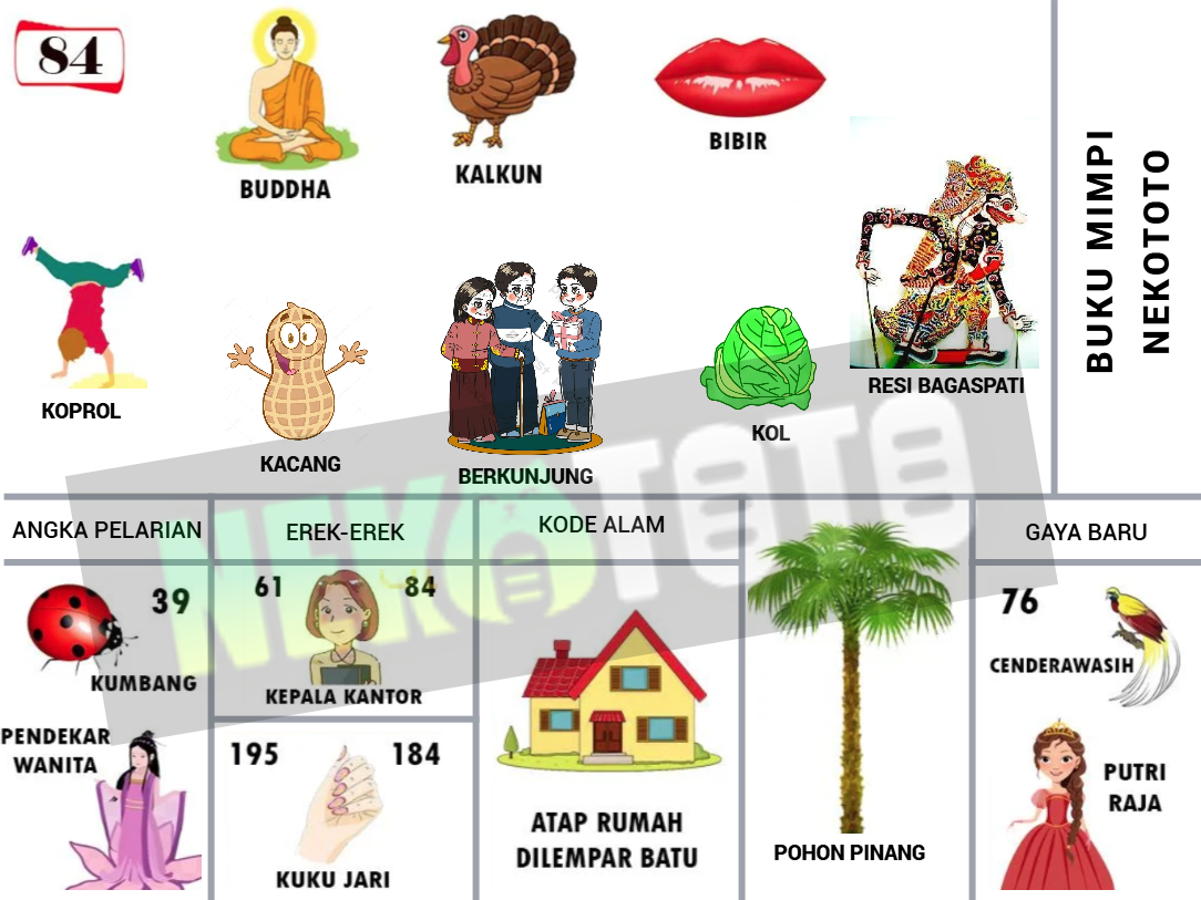 buku mimpi erek erek togel 84